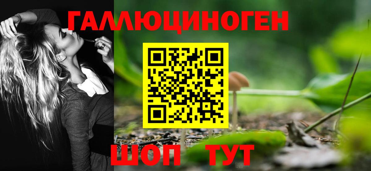 Галлюциногенные грибы Cubensis  Псилоцибиновые грибы Psilocybe  Вход с VPN  Губкин 