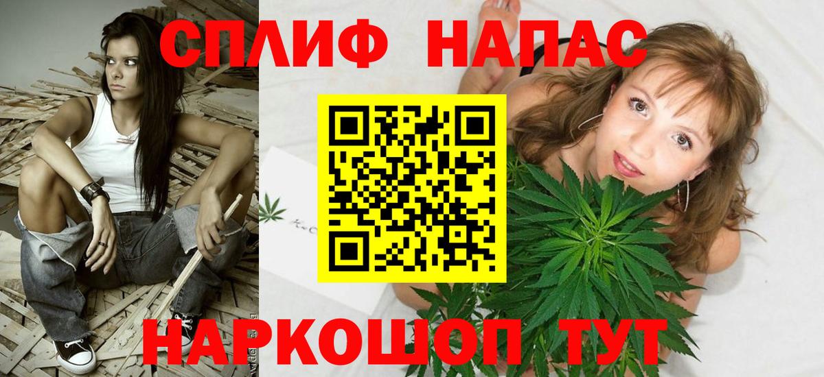 Каннабис сатива Губкин